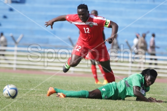 Wanyama1