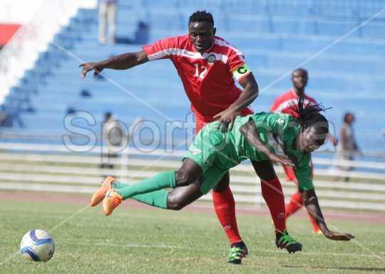 Wanyama3