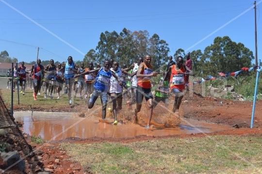 2023 KDF CROSS COUNTRY CHAMPIONSHIP