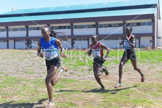 2023 KDF CROSS COUNTRY CHAMPIONSHIP