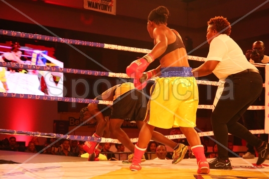 Ultra Fight Series boxing event