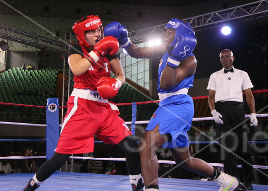 AFRICAN BOXING CHAMPIONSHIP