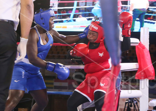 AFRICAN BOXING CHAMPIONSHIP