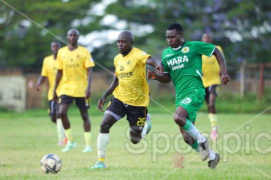 MARA SUGAR VS TUSKER