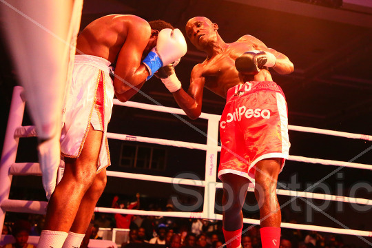 WBA AFRICA GOLD SUPER LIGHTWEIGHT TITLE