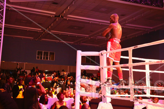 WBA AFRICA GOLD SUPER LIGHTWEIGHT TITLE