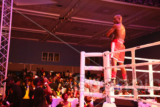 WBA AFRICA GOLD SUPER LIGHTWEIGHT TITLE
